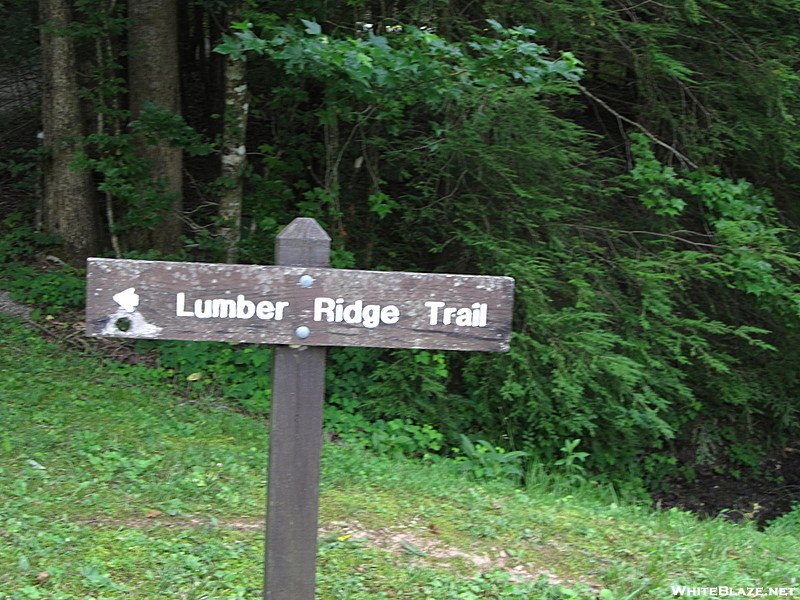 Lumber Ridge Trail GSMNP