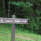 Lumber Ridge Trail GSMNP by P-Train in Day Hikers