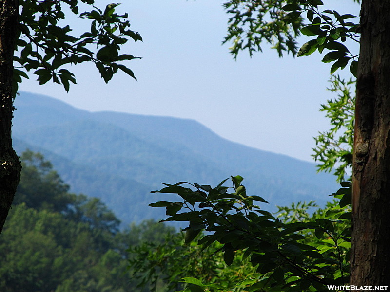 Lumber Ridge Trail GSMNP