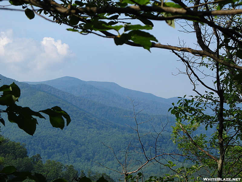 Lumber Ridge Trail GSMNP