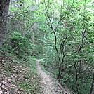 Lumber Ridge Trail GSMNP
