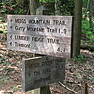 Lumber Ridge Trail GSMNP