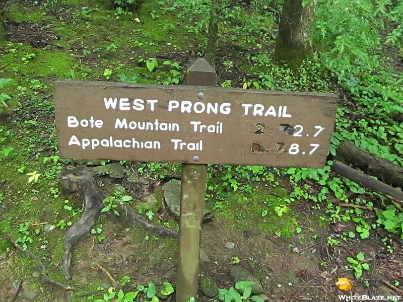 West Prong Trail GSMNP
