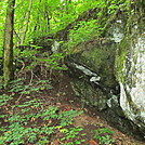 West Prong Trail GSMNP by P-Train in Day Hikers