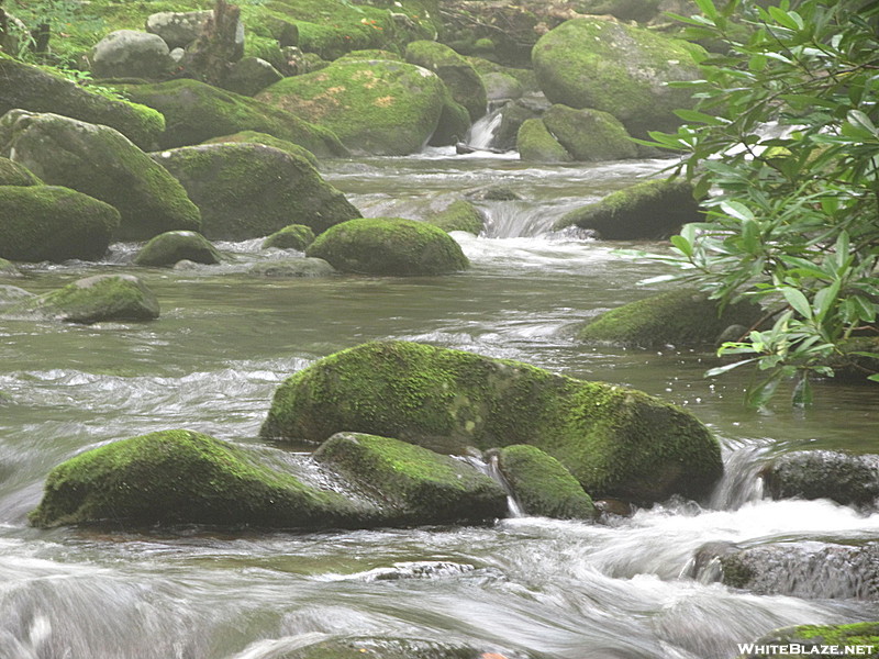 West Prong Trail GSMNP