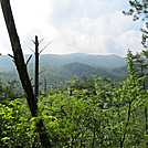 West Prong Trail GSMNP by P-Train in Day Hikers