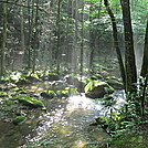 West Prong Trail GSMNP by P-Train in Day Hikers