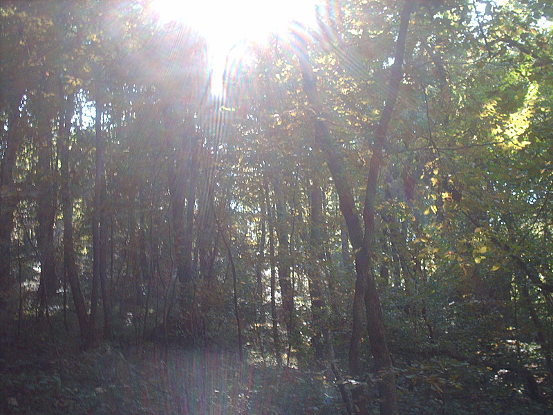 Shenandoah National Park