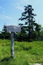 Mount_Rodgers_Sign