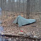 Old Loggers Path by no-name in Other Trails