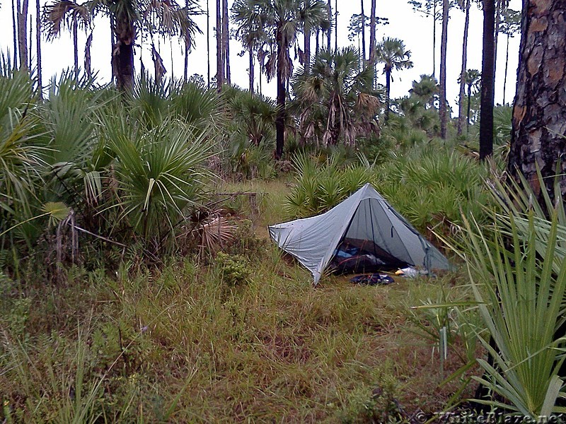 Tosohatchee WMA, Florida Trail, 10/8/13