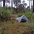 Tosohatchee WMA, Florida Trail, 10/8/13