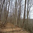 Old Loggers Path by no-name in Other Trails