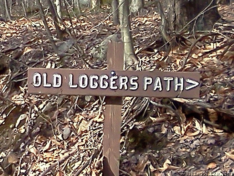 Old Loggers Path