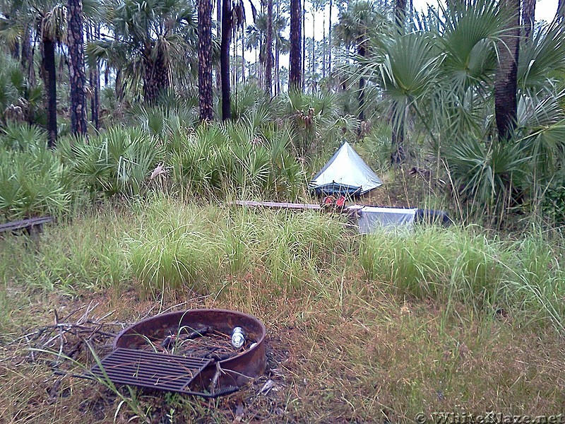 Tosohatchee WMA, Florida Trail, 10/8/13