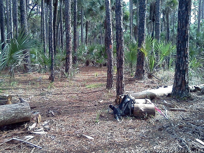 Tosohatchee Wildlife Management Area, Florida Trail