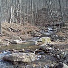 Old Loggers Path by no-name in Other Trails