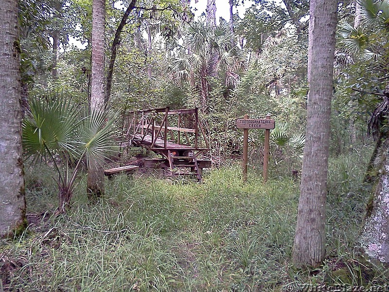 Tosohatchee Wildlife Management Area, Florida Trail