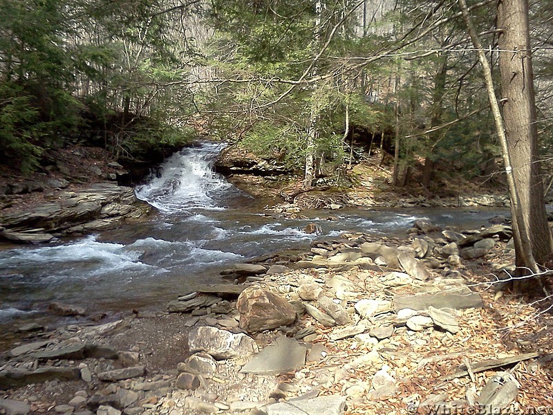 Old Loggers Path