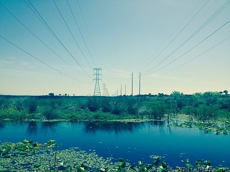 Looking towards the St. Johns