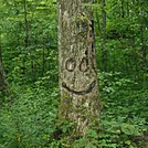Happy Trees by Old_Man in Approach Trail