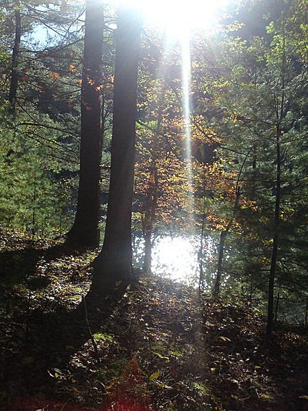 Loyalsock Trail