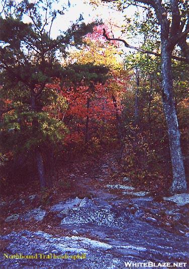 The Trail in Northern Virginia - October 2001