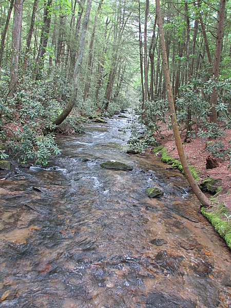 First half of Georgia