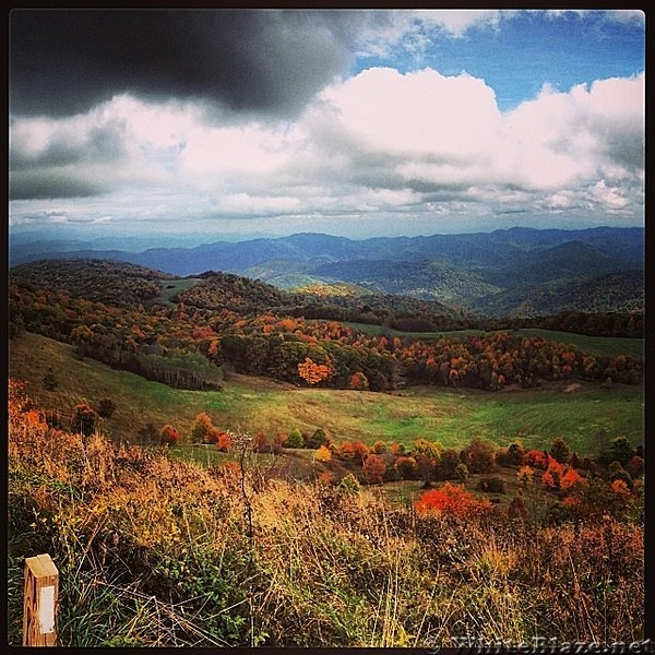 Max Patch - AT