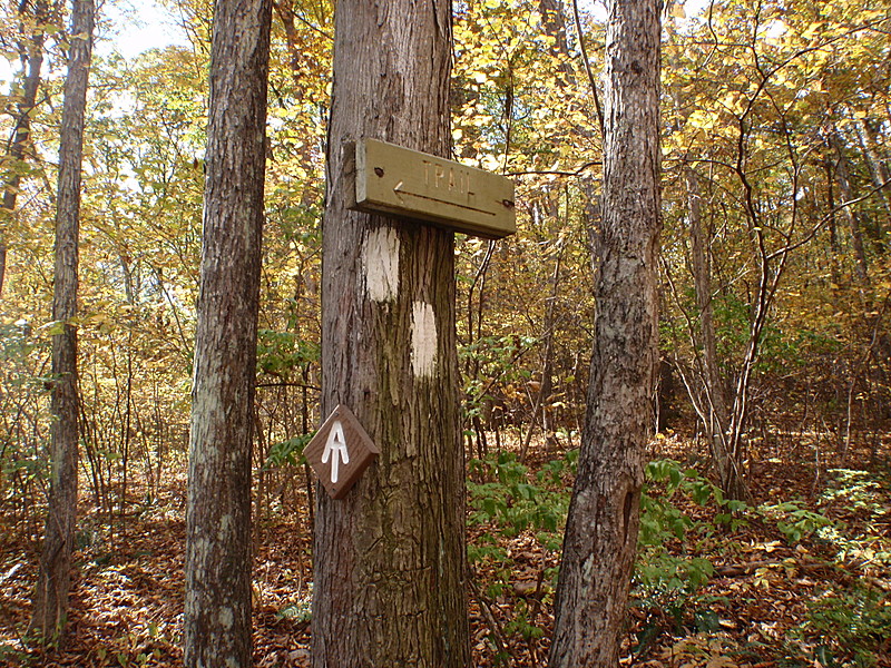 St. Johns Ledges