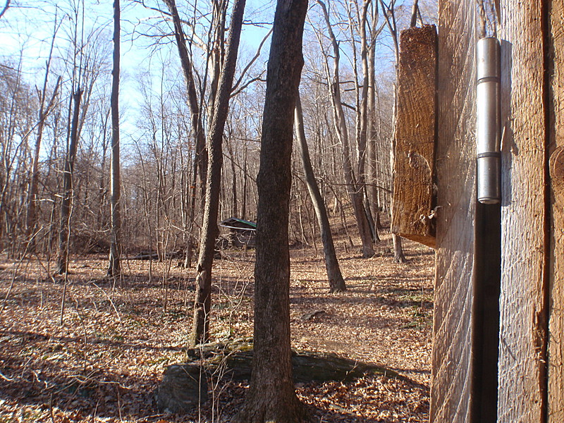 Wiley Shelter