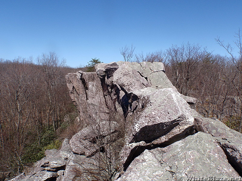 On top of Cat Rocks