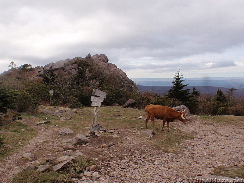 Grayson Highlands