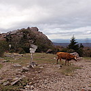 Grayson Highlands