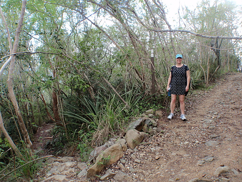 Virgin Islands National Park