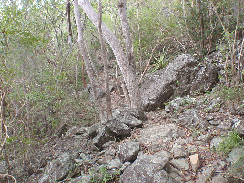 Virgin Islands National Park