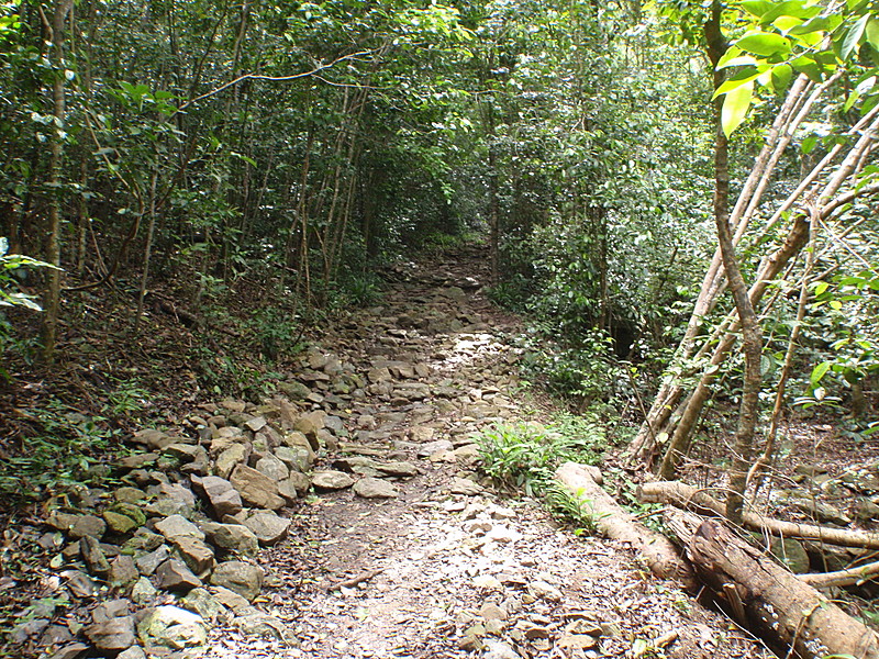 Virgin Islands National Park