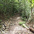 Virgin Islands National Park by coach lou in Other Trails
