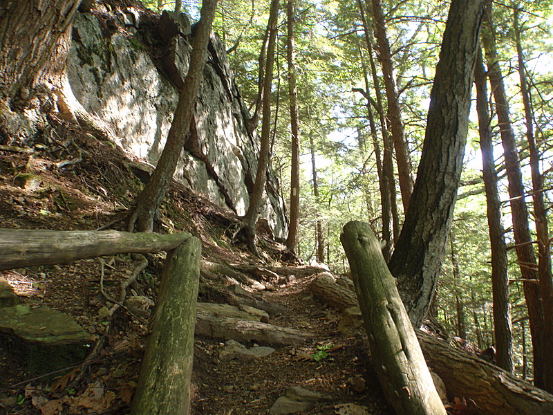 A May walk in Connecticut