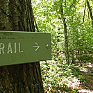 A May walk in Connecticut by coach lou in Sign Gallery