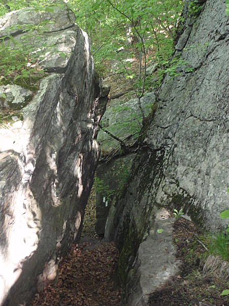 A May walk in Connecticut