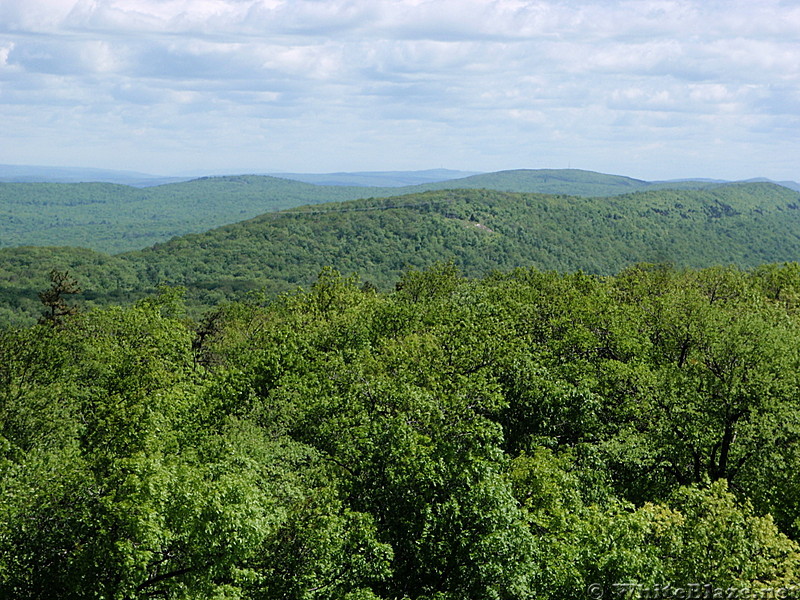 North from the Catfish Fire Tower