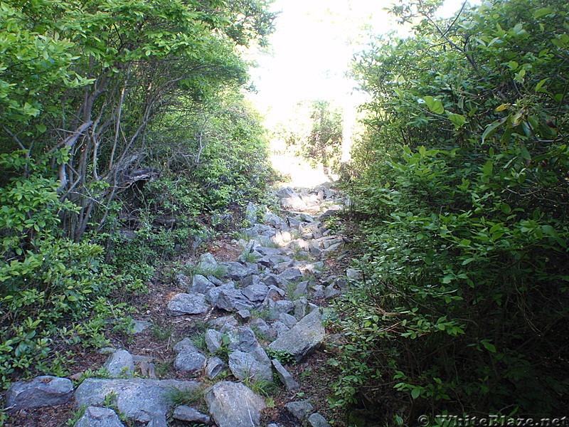 New Jersey has some rocks!