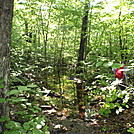 Upper Upper Goose Pond by coach lou in Trail and Blazes in Massachusetts