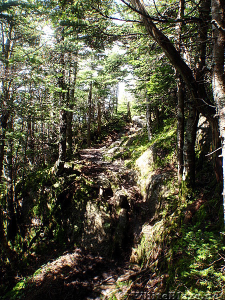 Lots of cool trail