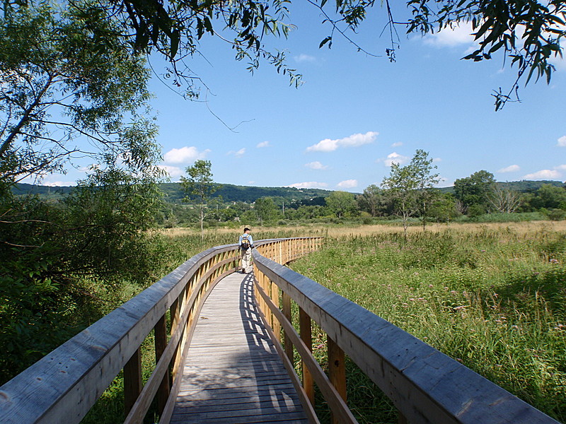 Bridge over The Swamp River