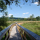 Bridge over The Swamp River