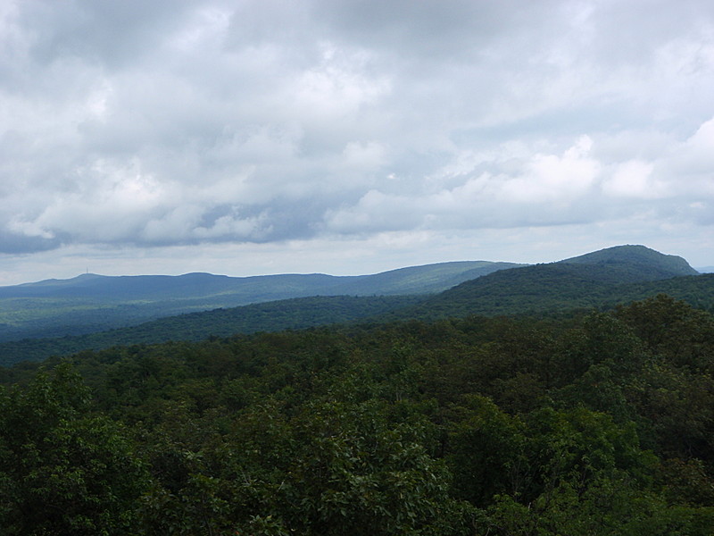 Nobo View from the Fire Tower