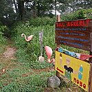 The Icecream mans house on the Green Blaze