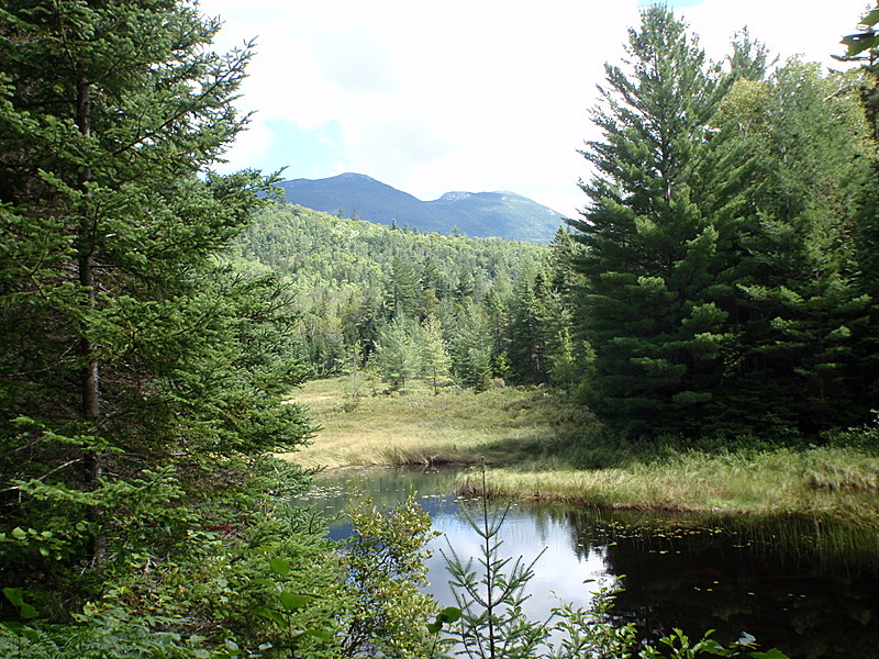 Maine